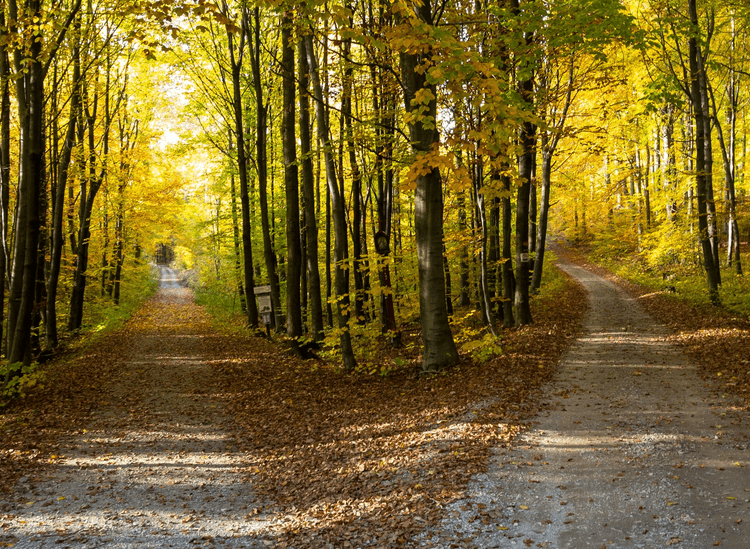 Imagem Me olhei no espelho e perguntei: Quem é você?